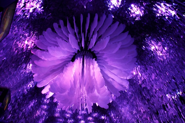 M^ȴdչF_׵ľ̈́Cеcoo~Ƭ׌@G