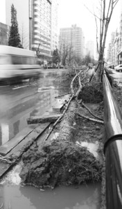 кƽ^ƽcž·̎Ę䱻LS˔[·߅