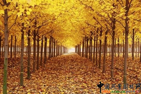 ׌òɫֲﾰ^Փ߽Kʡ׌áʡ_ɫֲﾰ^ˇgOӋِCYɹe