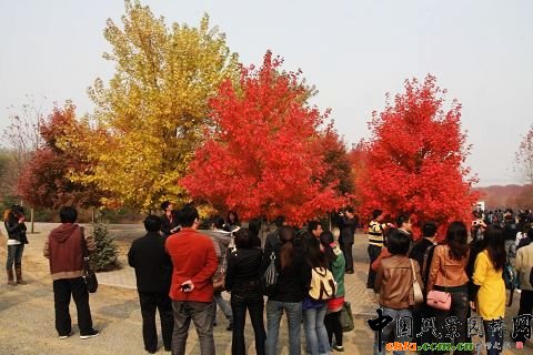 ׌òɫֲﾰ^Փ߽Kʡ׌áʡ_ɫֲﾰ^ˇgOӋِCYɹe