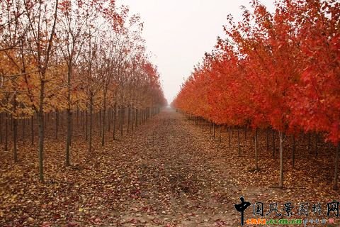 ׌òɫֲﾰ^Փ߽Kʡ׌áʡ_ɫֲﾰ^ˇgOӋِCYɹe