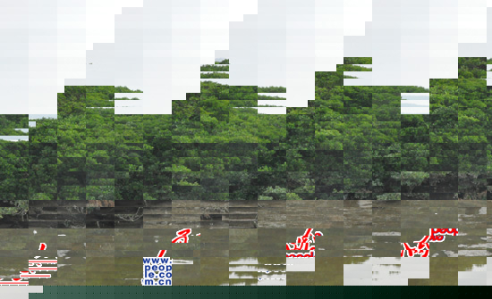 λڱo^ą^ļt֣hhȥˮһֻˮB