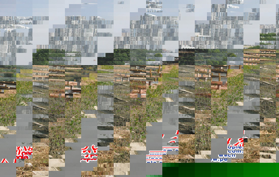 o^ą^ˮ顰Pӿڼtʾޏ͹̡Mɲֵˮ̎SڽOAӋ׽ɽo^ɺˮ̎ں