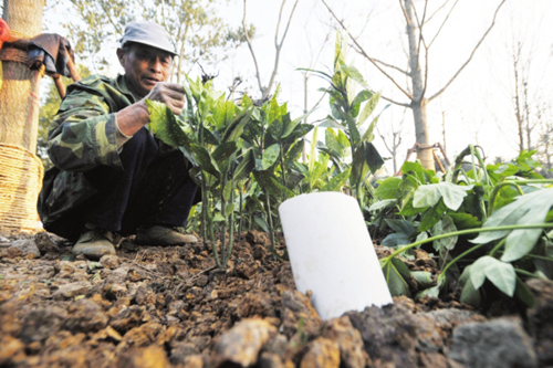 СΈ@(ni)İɫ(do)܌𵽿ͷá