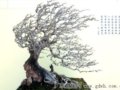 2010V݇H辰Ո(qng)չ@(jing)Ʒ^[D]