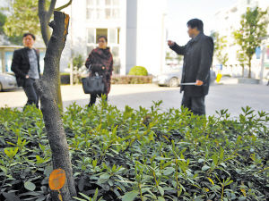 ׌ˁ޼GYϰССľGľƉˣеĴ䱻һ룬B֦Ҳȫˣֻʣ¹ddһ䘶@޼Ć᣿