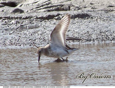 ˹ԓ(xing)ĿּЇ(gu)صėϢ