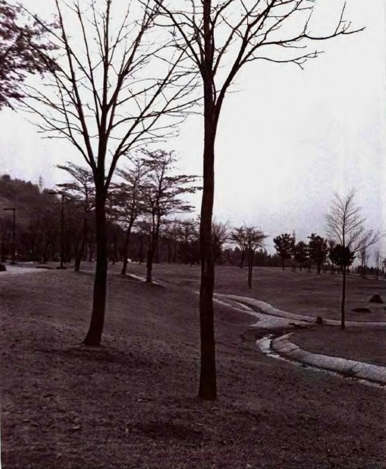 戶田芳樹作品:綠色津南中央庭園 中國風景園林網(wǎng)