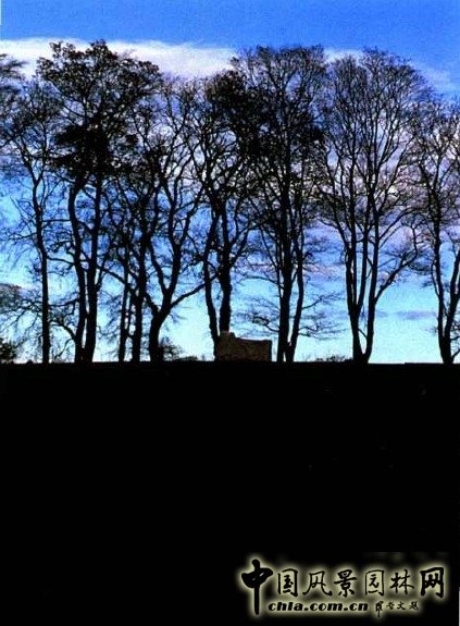 師枡野俊 高爾夫 石頭