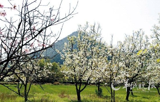 道格拉斯·道林 設計 道林集團 城市規劃