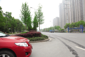 綠化帶 礙眼 影響交通安全 中國風景園林網