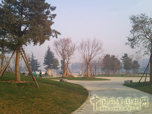 張新宇 景觀設計 滄州雜技園 北京園博會設計師廣場 中國風景園林網