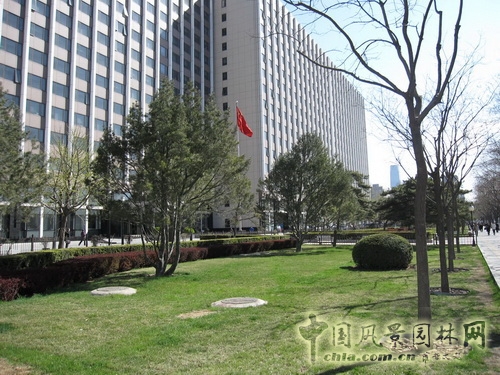 張新宇 景觀設計 長安街 北京園博會設計師廣場 中國風景園林網