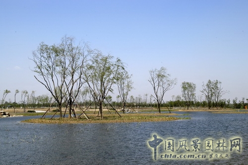 張新宇 大興新城濱河森林公園 規劃設計 設計師廣場 中國風景園林網