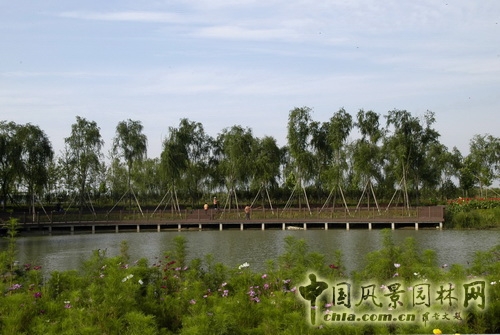 張新宇 大興新城濱河森林公園 規劃設計 設計師廣場 中國風景園林網