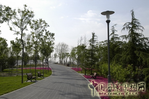 張新宇 大興新城濱河森林公園 規劃設計 設計師廣場 中國風景園林網