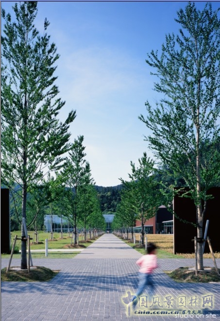 島根縣立古代出云歷史博物館全景 三谷徹 風景園林 學術報告