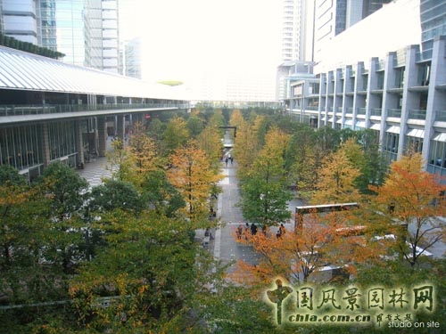 中國風景園林網 三谷徹 中央公園