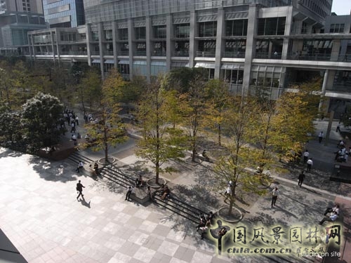 中國風景園林網 三谷徹 中央公園