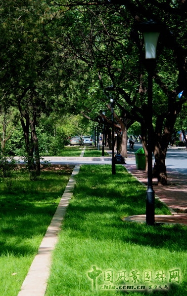 郭明 景觀設計 北京園博會 設計師廣場 北大醫學部 中國風景園林網