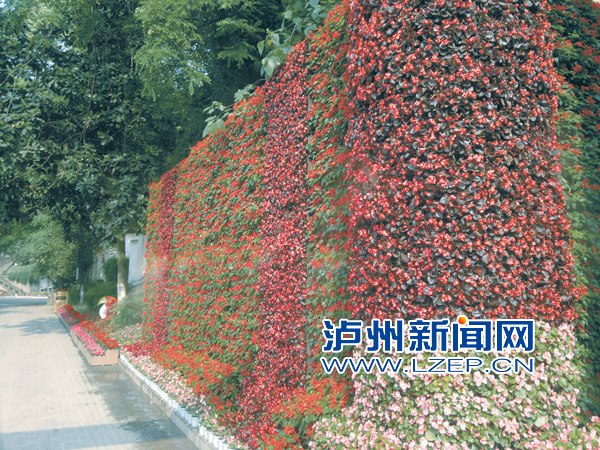瀘州 忠山公園 新增 景觀墻 中國風景園林網(wǎng)