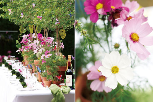 草花 應(yīng)用 婚禮