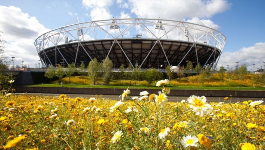 倫敦奧運會奧林匹克體育場