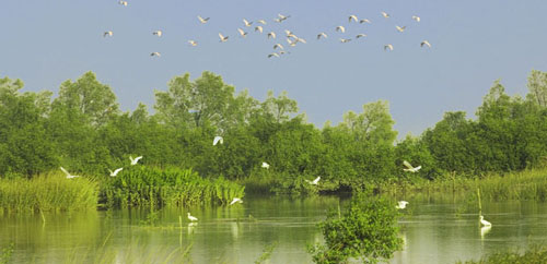 廣東 綠道 香洲