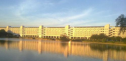 廣東 綠道 香洲