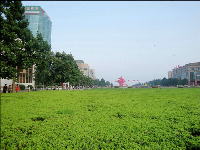 魯班獎 景觀 展示 青島 五四廣場 中國風景園林網