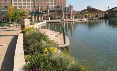 中國風景園林網 規劃設計