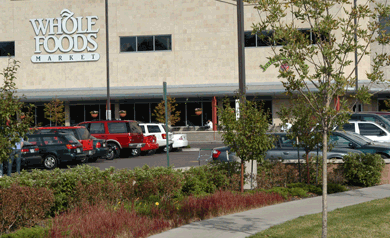 中國風景園林網 規劃設計