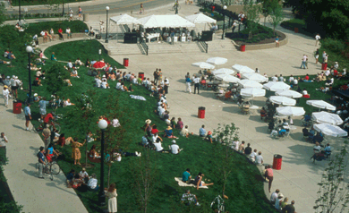 中國風景園林網 規劃設計