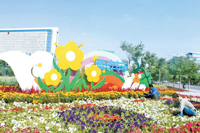 內蒙古 鮮花 盆花