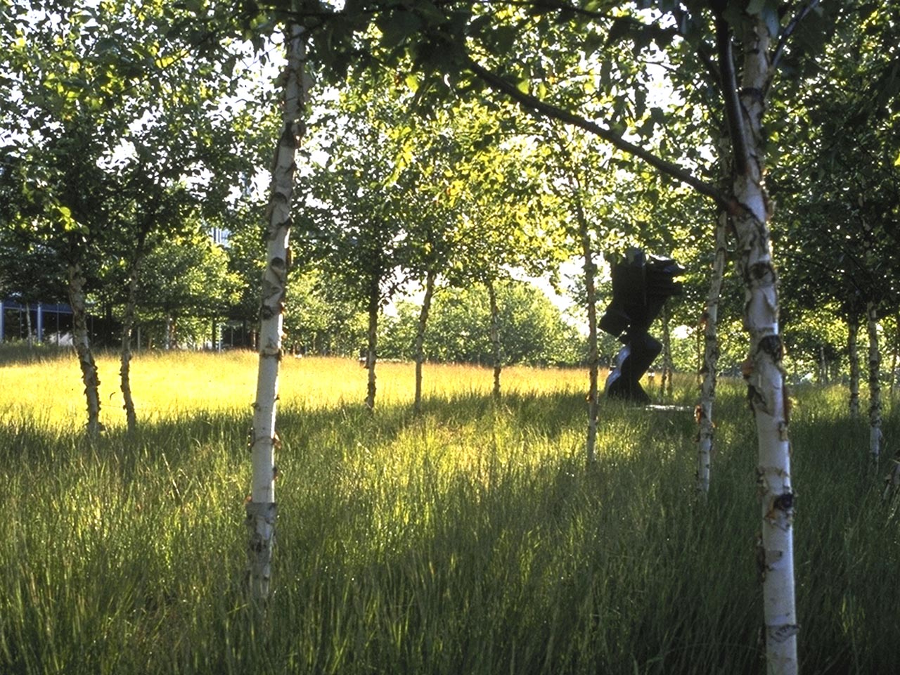 中國風景園林網 規劃設計