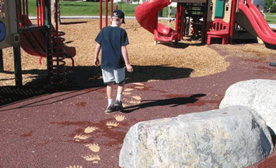 中國風景園林網 規劃設計