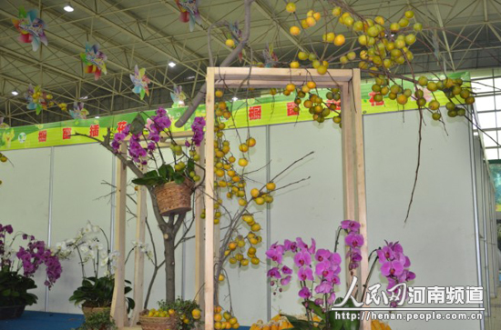 花卉 苗木 插花