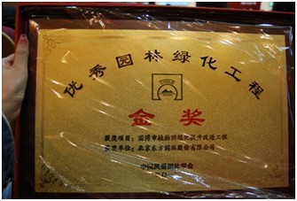 圖為淄博項目所獲獎牌