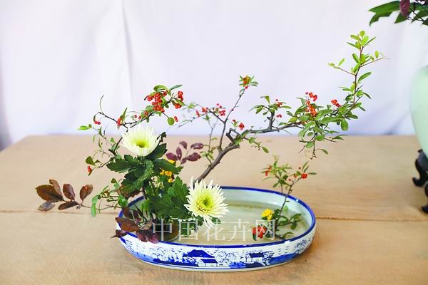 菊花 插花 藝術(shù)