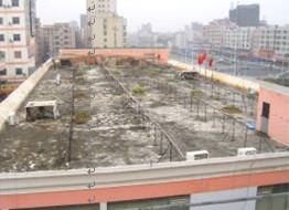 中國風景園林網 國內動態