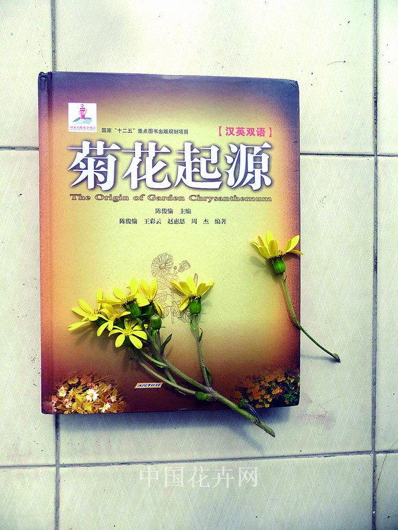 菊花 梅花 棕櫚