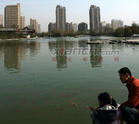 中水 景觀用水 西安 城市綠化用水