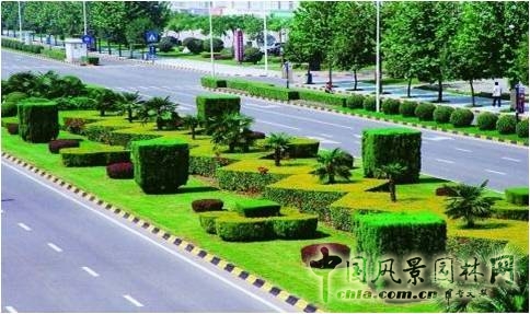 道路綠地建設(shè)
