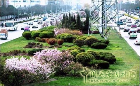 道路綠地建設(shè)