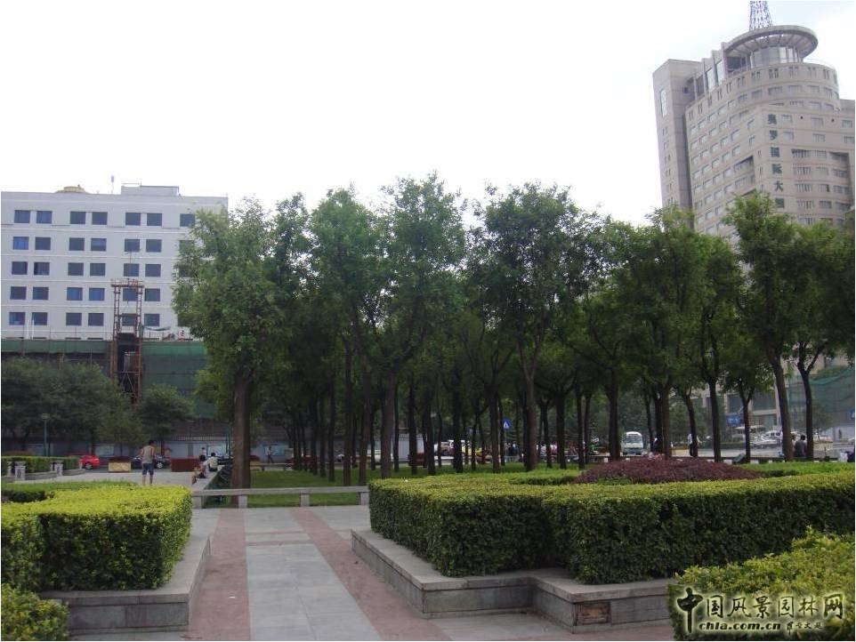 新城廣場(chǎng)改造