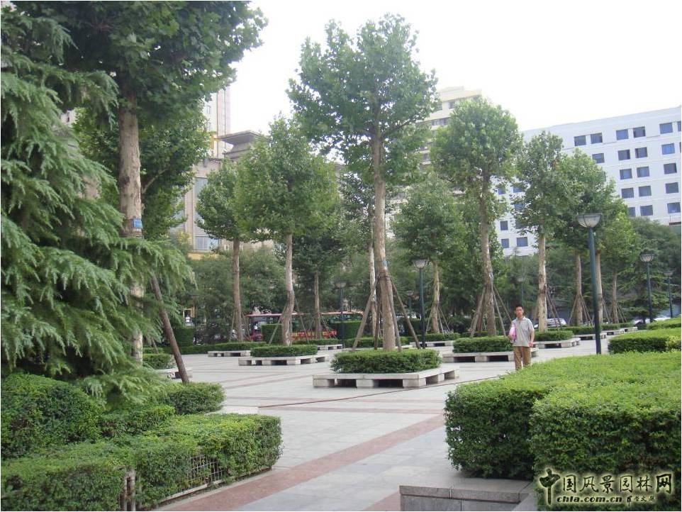 新城廣場(chǎng)改造