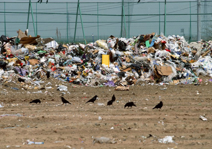 兩會 霧霾 節能減排 生態文明