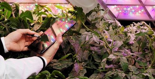 植物研究 植物科學 園藝 LED照明系統