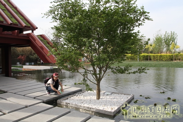 北京園博園 武漢園 旅游 景觀設(shè)計(jì) 公園 中國(guó)風(fēng)景園林網(wǎng)