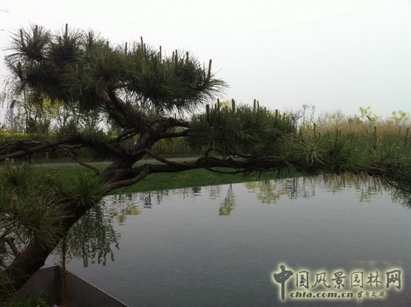 北京園博園 武漢園 旅游 景觀設(shè)計 公園 中國風景園林網(wǎng)